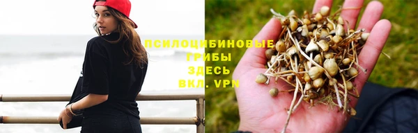 ПСИЛОЦИБИНОВЫЕ ГРИБЫ Баксан